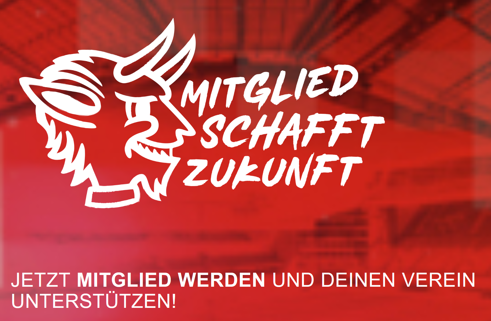 mitglied schafft zukunft